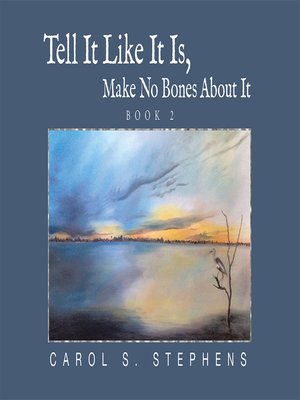 cover image of Tell It Like It Is, Make No Bones About It